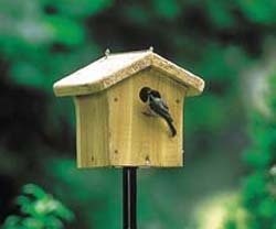 Wild Birds Unlimited | Bird Houses | Abbotsford, BC
